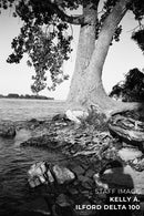 Ilford Delta 100 B&W 120 Film