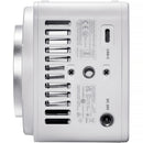 Godox ML80 Bi-Color LED Video Light