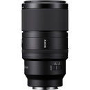 Sony FE 100mm f/2.8 Macro GM Lens