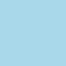 Savage Widetone Seamless Background Paper