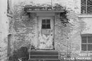 Kodak T-MAX 400 Black & White Film (4 x 5", 10 Sheets)