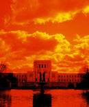 HARMAN technology Red 125 Redscale Color Negative Film (35mm Roll Film, 36 Exposures)