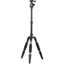 Sirui A1205 Tripod with Y-11 Ball Head (Carbon Fiber)