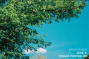 Kodak PORTRA 160 Color Film (4 x 5", 10 Sheets)