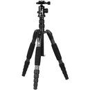 Sirui A1205 Tripod with Y-11 Ball Head (Carbon Fiber)
