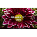 OM SYSTEM M.Zuiko Digital ED 60mm f/2.8 Macro Lens