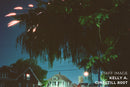 Cinestill 800Tungsten Xpro C-41 Color Negative Film (120 Roll Film)