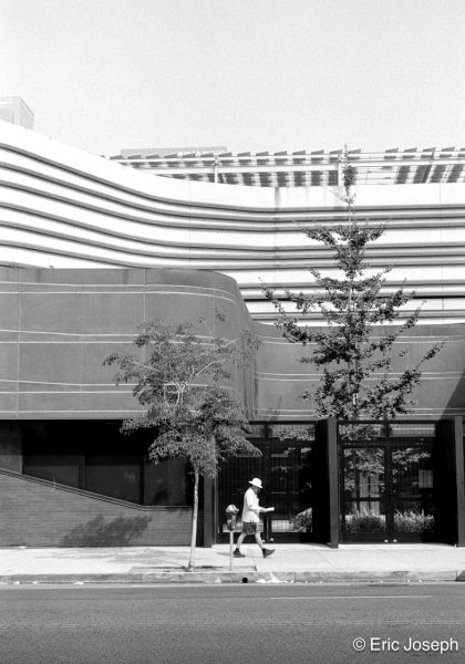 Arista EDU DX 100 Black and White Negative Film (35mm Roll Film, 36 Exposures)