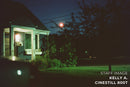 Cinestill 800Tungsten Xpro C-41 Color Negative Film (120 Roll Film)