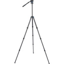 SIRUI ST-224 Quick Release Carbon Fiber Tripod with VH-10 Video Head