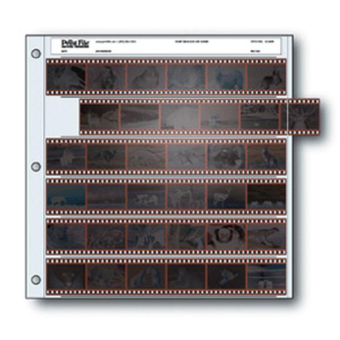Print File Archival 35mm Negative Pages (6 Strip/6 Frame, 25 Pages)
